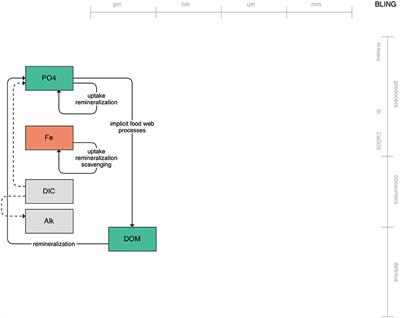 Using Global-Scale Earth System Models for Regional Fisheries Applications